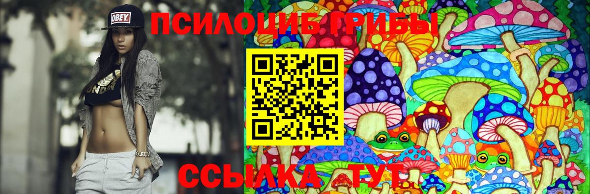 Рассказово  сколько стоит  Вход с VPN  Галлюциногенные грибы MAGIC MUSHROOMS 