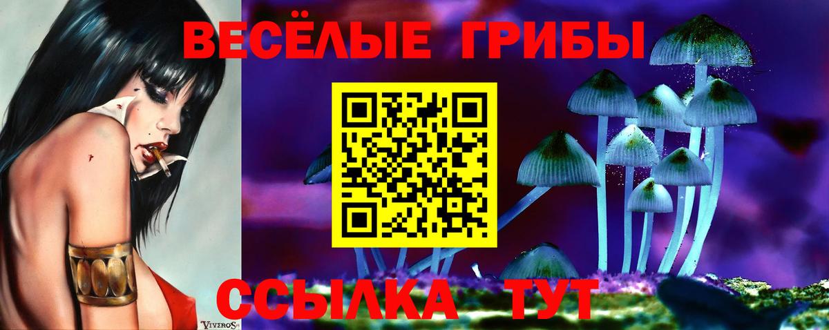 Псилоцибиновые грибы Cubensis Рассказово